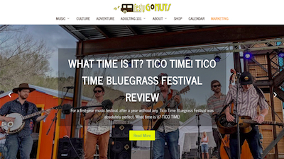 GoNuts Marketing Website Example: Festy GoNuts