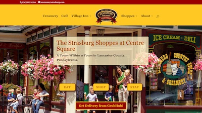 GoNuts Marketing Website Example: Strasburg.com
